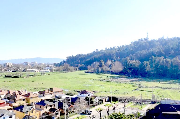 Humedales curicanos estarían protegidos según informó cartera medio ambiental
