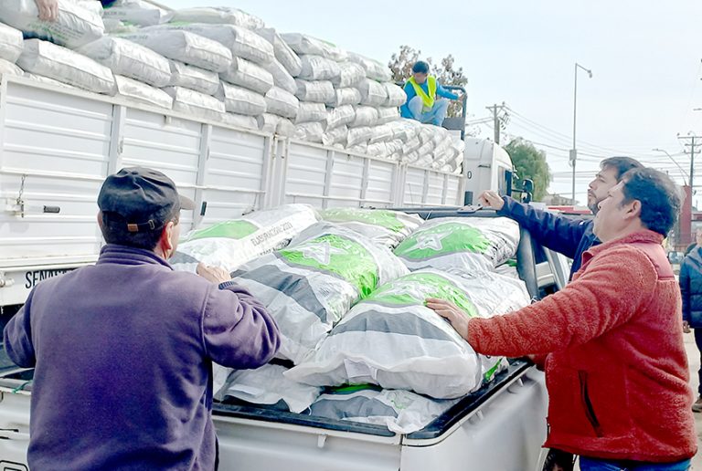 Indap entrega balance sobre entrega de alimentación  animal a usuarios damnificados por el sistema frontal