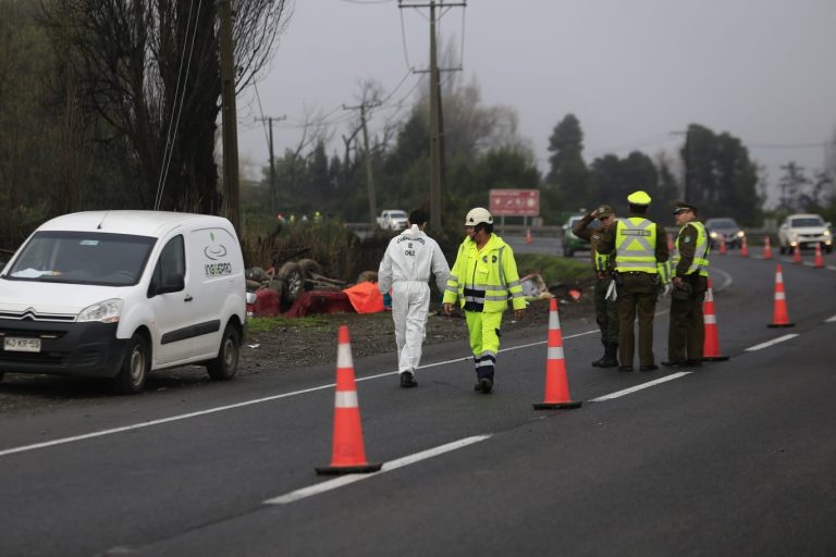 Ministra se compromete a solucionar la “curva de la muerte” en la Ruta 5 Sur