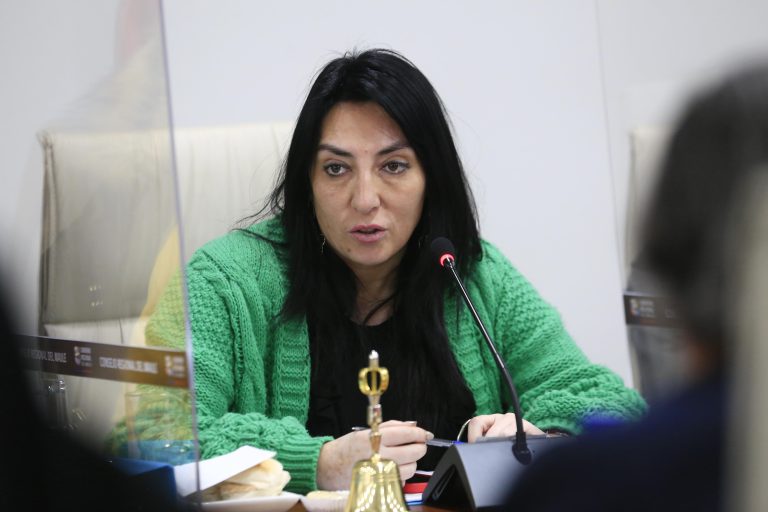 Gobernadora niega haber recomendado a fundación la contratación de profesionales