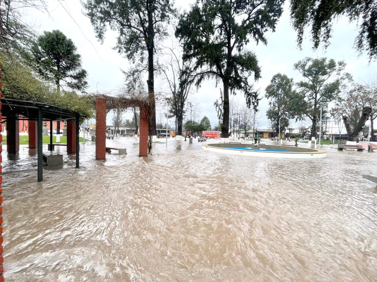 Tras el temporal se iniciaron labores de recuperación en Sagrada Familia