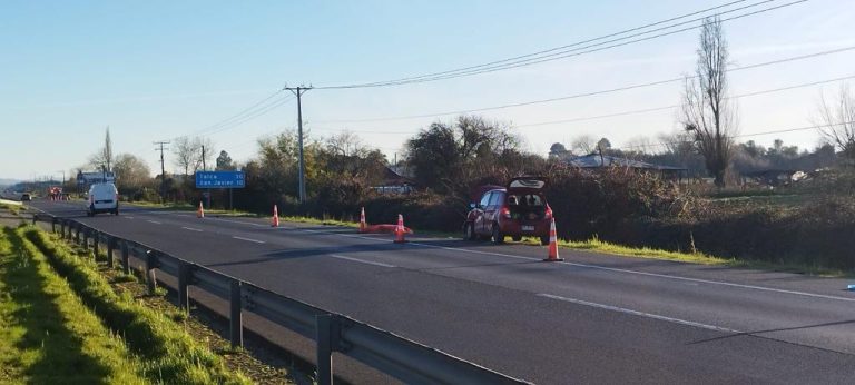 Dos víctimas fatales deja atropello en la Ruta 5 Sur