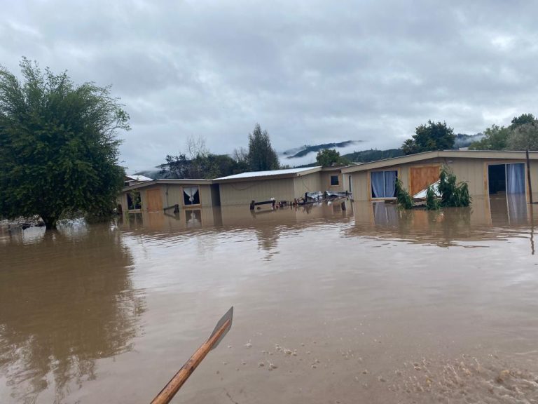Un desolador panorama es el que deja la inundación de gran parte de Licantén