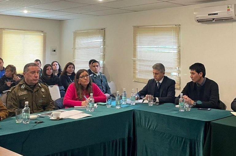 En casi un 29% bajó el delito de robo en la provincia de Curicó