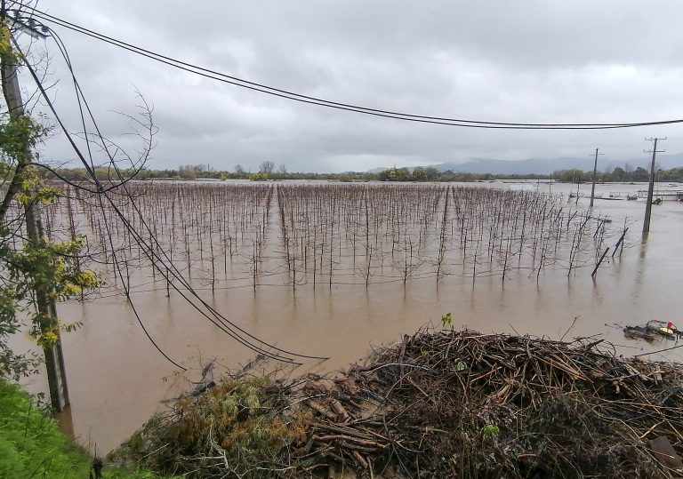 Intensa jornada en el Maule Norte ante paso de nuevo sistema frontal