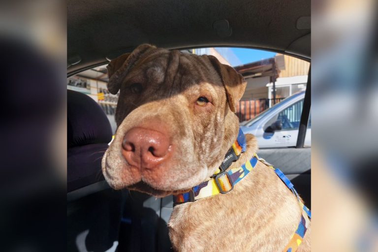 Balder: Su familia sigue con la esperanza de encontrarlo