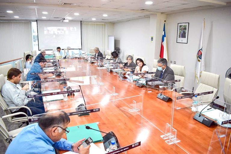 Comisión del CORE comenzó su trabajo de investigación sobre “convenios y fundaciones”