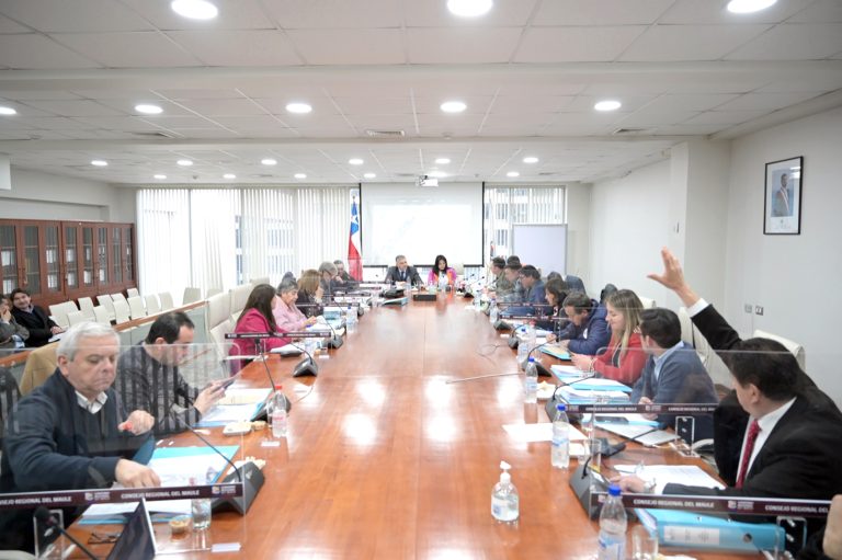 CORE aprueba crear comisión investigadora por caso Fundaciones