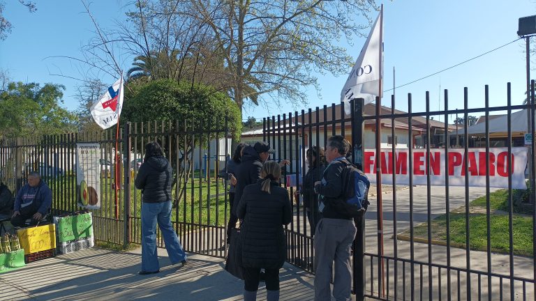 El Maule no fue la excepción: Trabajadores de la salud en paro