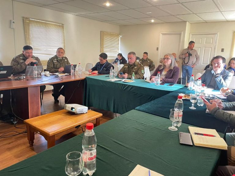 Bajaron robos con violencia en la provincia de Curicó