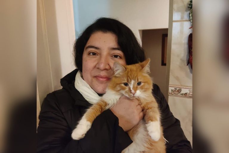 Reiki con animales: Terapia que los ayuda a sobrellevar enfermedades