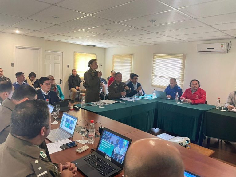 Nueva jefa de zona de Carabineros encabezó sesión STOP en la provincia de Curicó