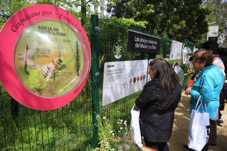 Jardín botánico y Arboretum vuelven a abrir sus puertas
