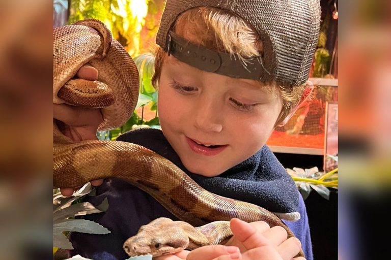 Exposición de animales exóticos llega como panorama para grandes y chicos