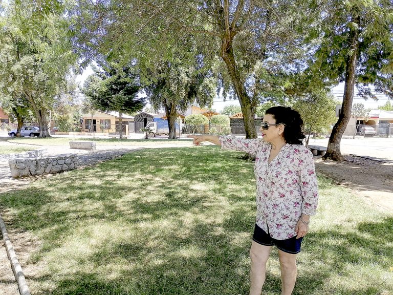 Villa Los Cisnes: Plaza vecinal y reposición de veredas ya son una realidad