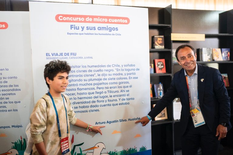 Estudiante de Hualañé fue segundo en el concurso de microcuentos “Fiu y sus amigos”