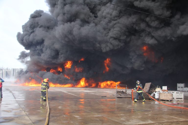 Ingresan denuncia ante la Superintendencia del Medio Ambiente tras nuevo incendio en Teno