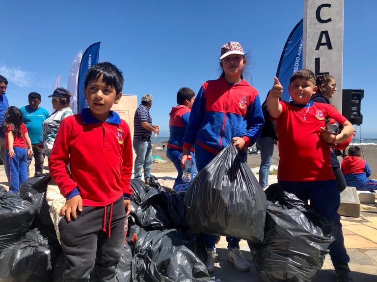 Logran retirar cerca de 300 kilos de residuos desde playa de Chanco