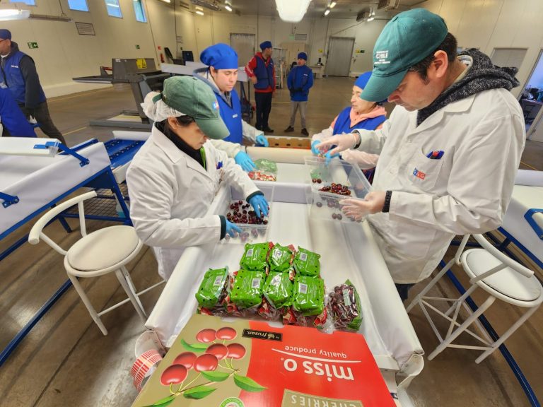 Sitio de Inspección fitosanitaria de Teno comenzó sus operaciones