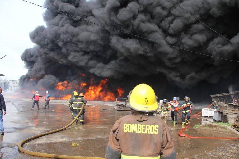 Incendio destruye miles de bins en patio de acopio de empresa Agrozzi