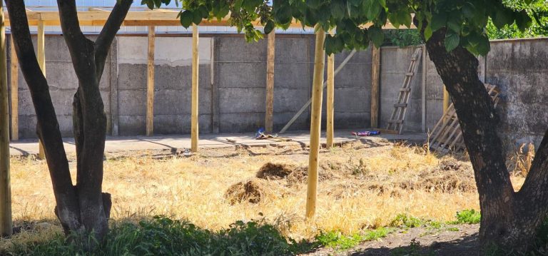 Desaparecen osamentas desde terreno de exretén de Carabineros