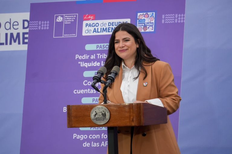 Intensa agenda por comunas del Maule tendrá la ministra de la Mujer y Equidad de Género