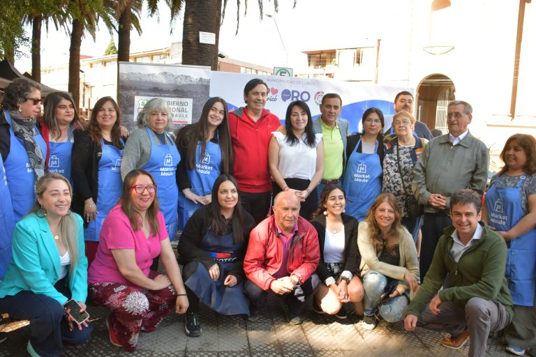 Emprendedores curicanos podrán reactivarse gracias a Feria Navideña
