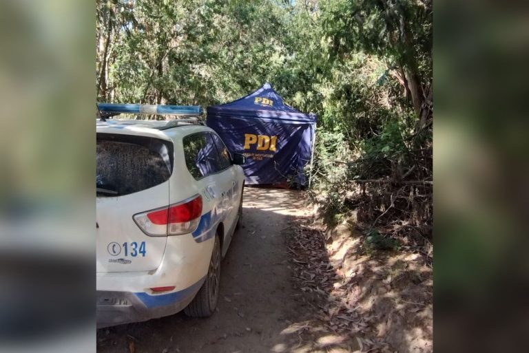Dos detenidos por crimen de hombre en sector rural de la comuna de Chanco