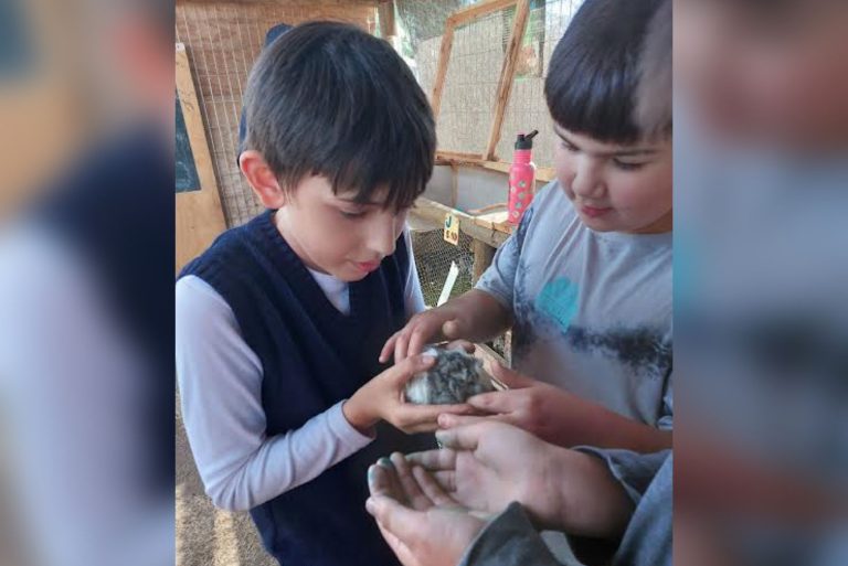 Colegio San Pablo: Generando conciencia sobre el respeto al medio ambiente y animales