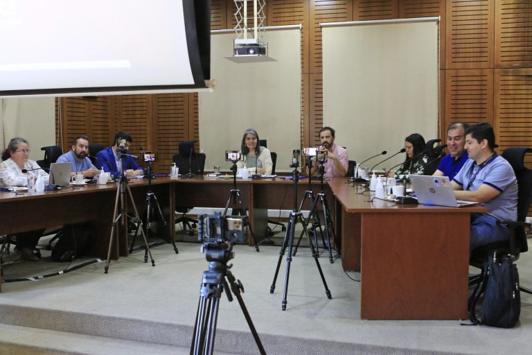 Concejales de Talca lamentan uso de fuegos artificiales en Año Nuevo