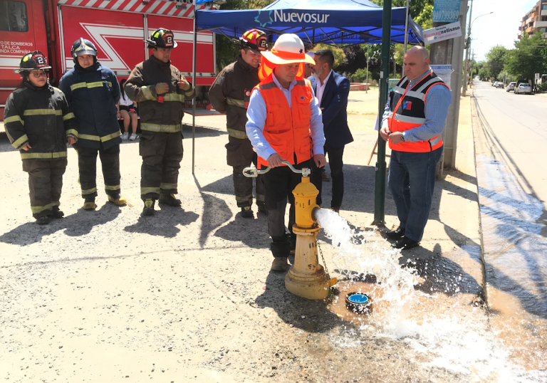 Llaman a cuidar grifos existentes en el Maule