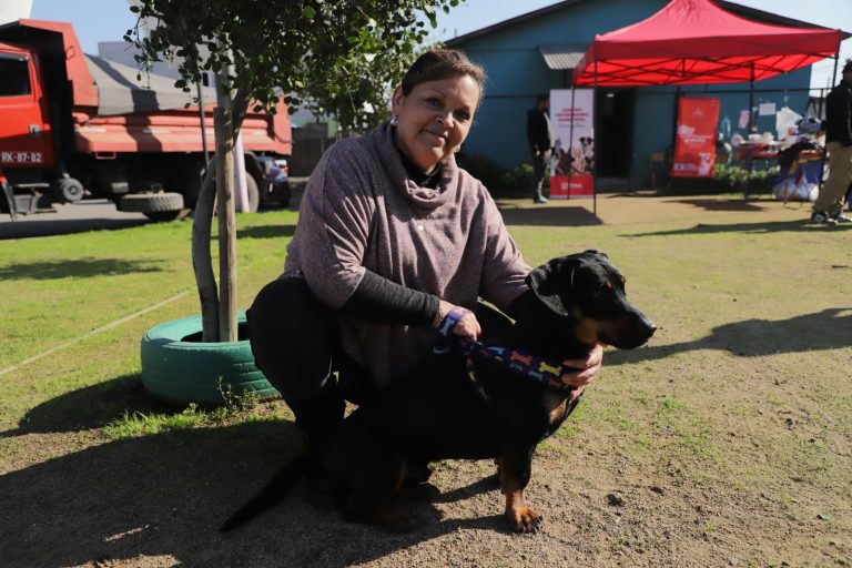 Aprueban nueva ordenanza de tenencia responsable de mascotas