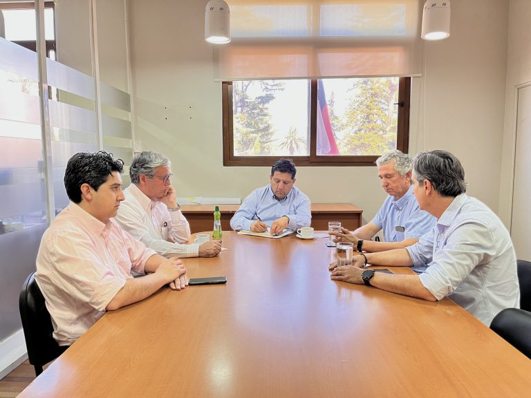 Coordinan repatriación del piloto español que se estrelló durante un incendio en Talca