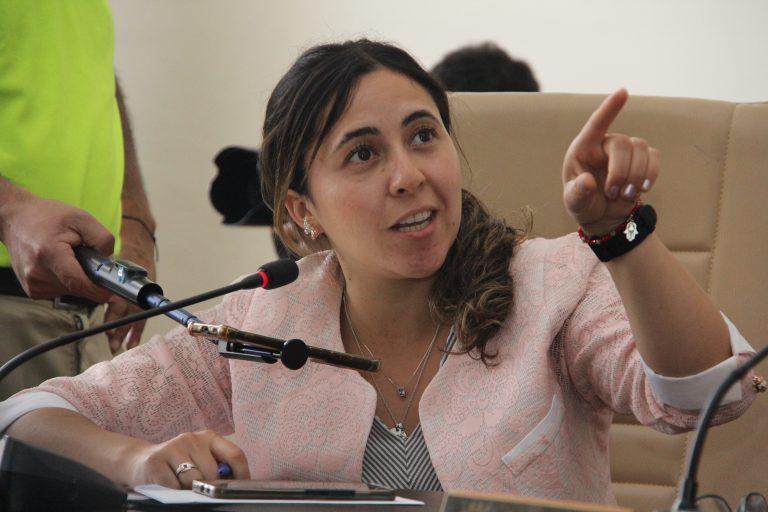 Concejala por iniciativa que permitiría la caza de perros asilvestrados: “No viene a solucionar el problema de fondo”