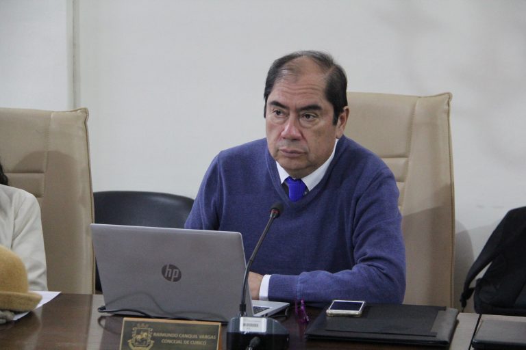 Concejal es partidario de contar con un lugar para los artesanos y el comercio ambulante autorizado