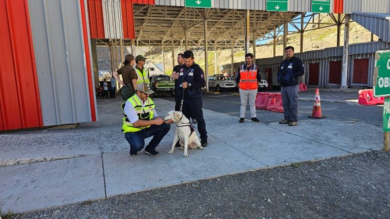 Francisco Pulgar: “Es urgente mejorar operatividad del complejo aduanero Paso Pehuenche”
