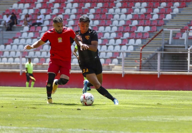 Las nuevas conclusiones de Bozán