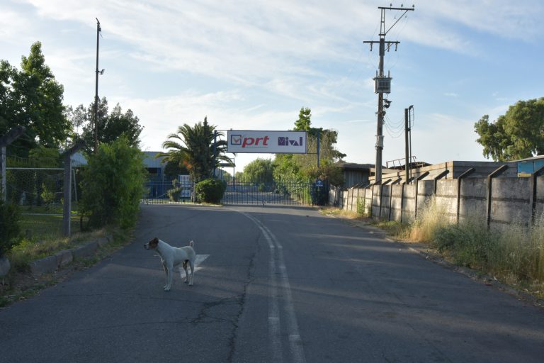 Alcalde (s) valoró esfuerzos para volver a poner en funcionamiento planta de revisión técnica