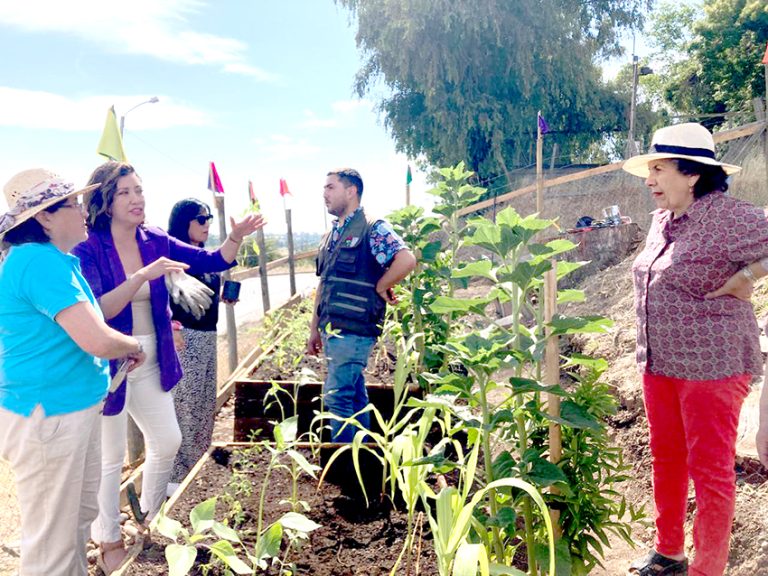 Dieron a conocer resultados del concurso  del Fondo de Protección Ambiental 2024