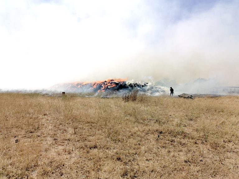 Incendio forestal activó  la alerta SAE en Curicó