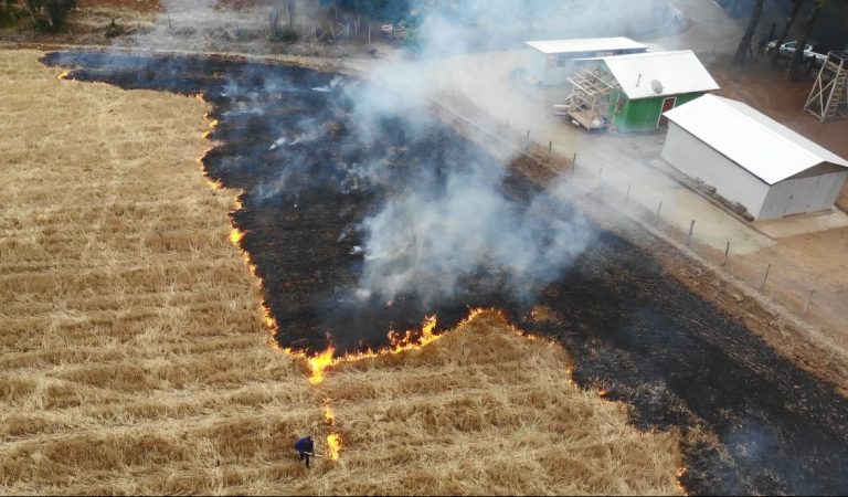 Adulto mayor es formalizado por quema en su propio predio agrícola