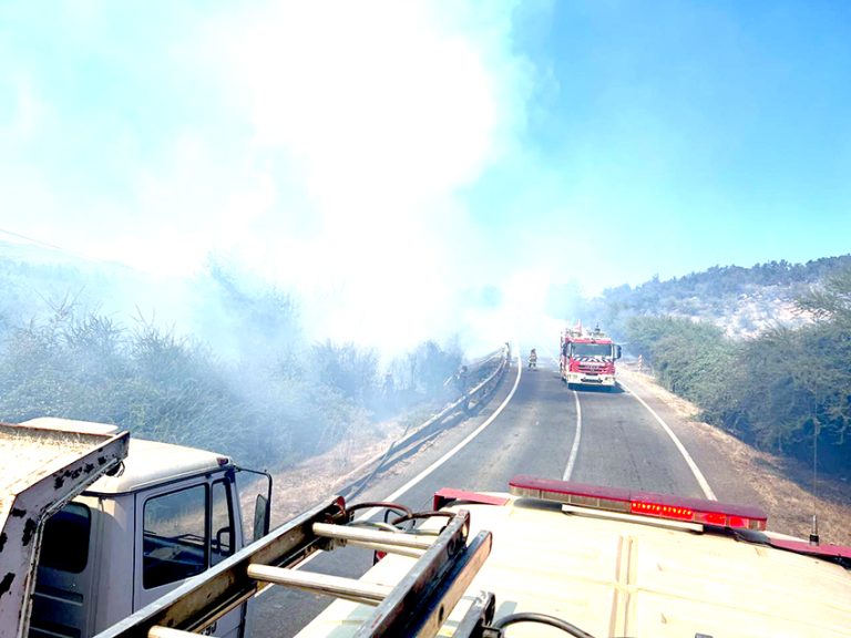 Declaran alerta roja en Hualañé por incendio forestal