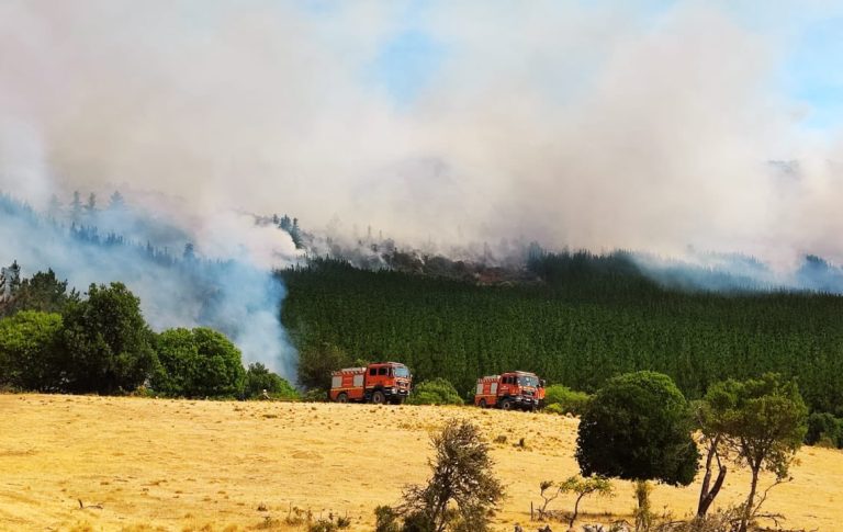 Diputados del Maule responden al llamado de avanzar en la nueva Ley de Incendios