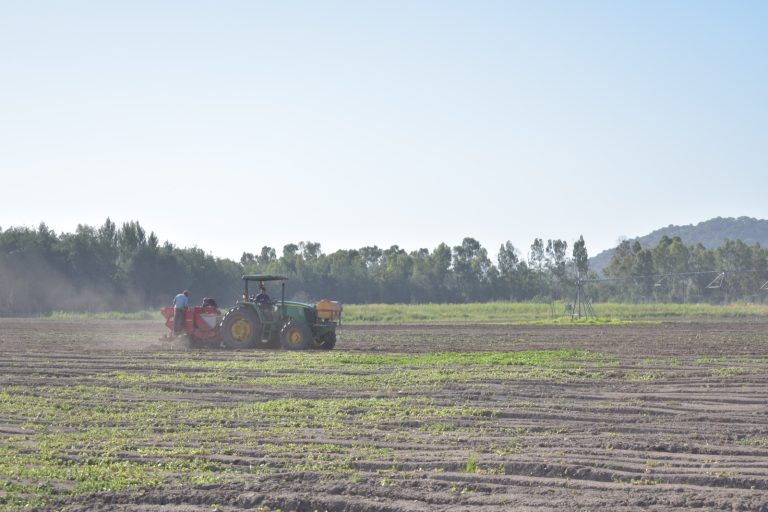 GPS en tractor permite optimizar las labores agrícolas