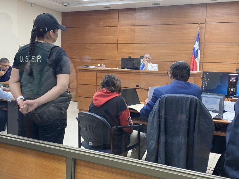 Formalizan por maltrato animal a encargada de refugio ubicado en sector Vista Hermosa