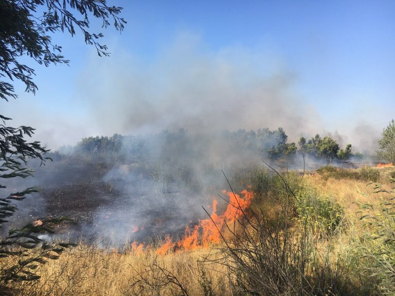 Agricultor es formalizado por realizar una quema en el patio de su vivienda