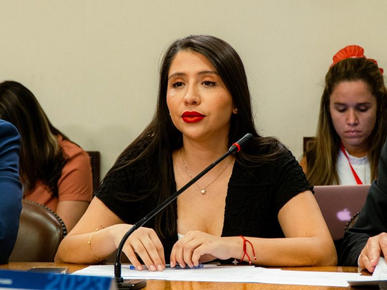 Piden que Senapred informe qué municipios cuentan con su Plan de Reducción del Riesgo de Desastres