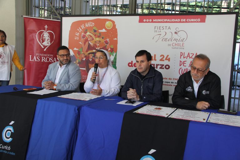 Fiesta de la Vendimia de Chile: Municipio inició venta de sillas