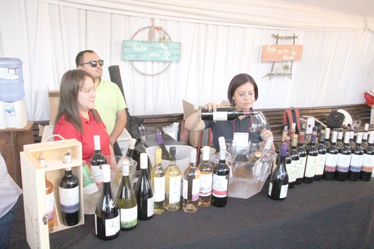 Vendimia de Chile: la fiesta de todos los curicanos