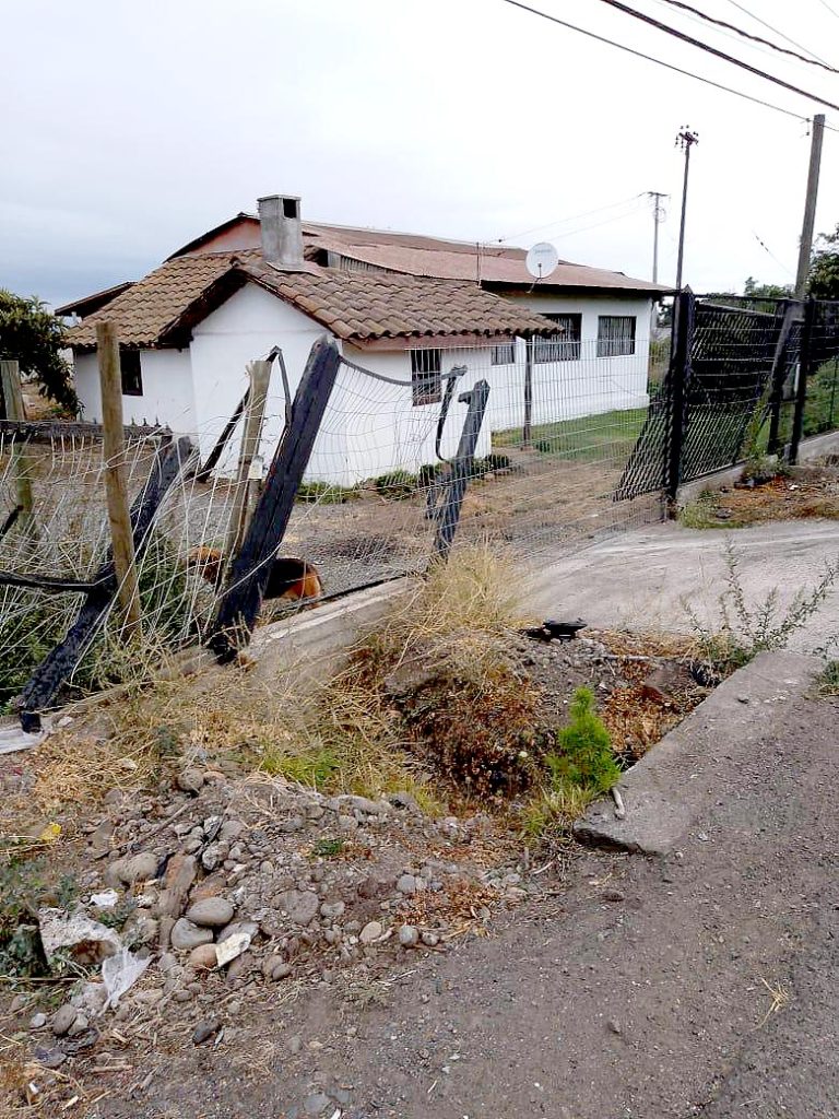 Familia sufre con graves accidentes de tránsito